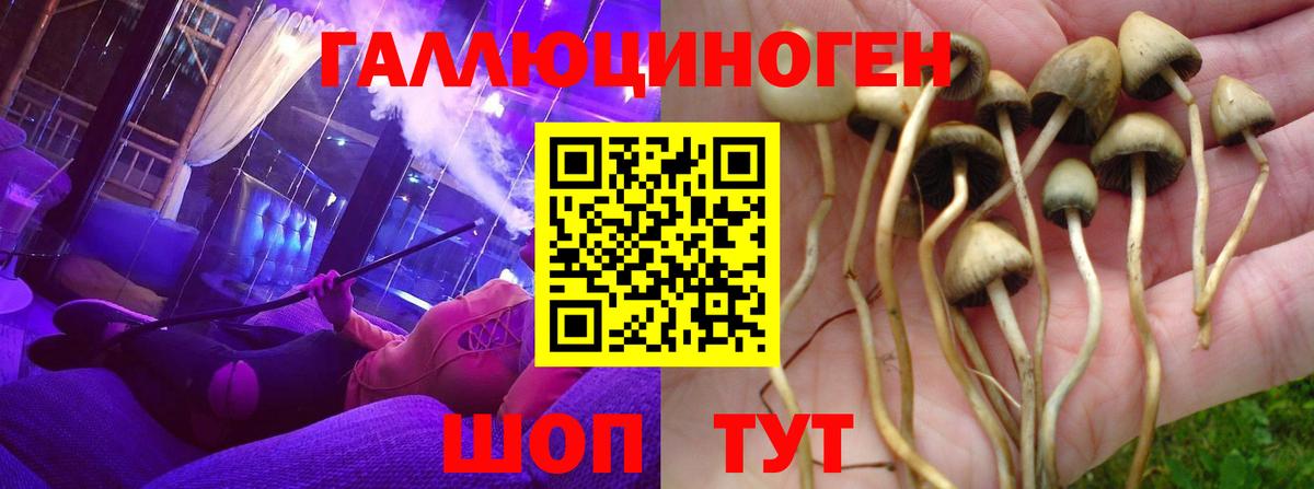 Галлюциногенные грибы GOLDEN TEACHER  Псилоцибиновые грибы мухоморы  Тосно  Вход с VPN 